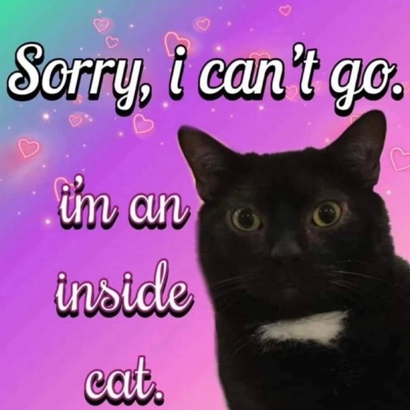 Meet your Posher, Lindsey - Picture 1 of 1